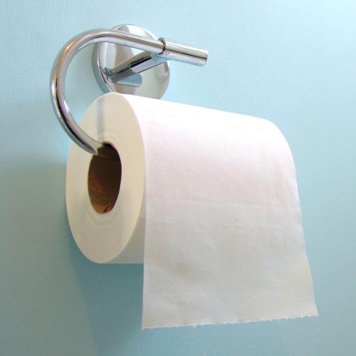 Toilet paper roll on a holder.