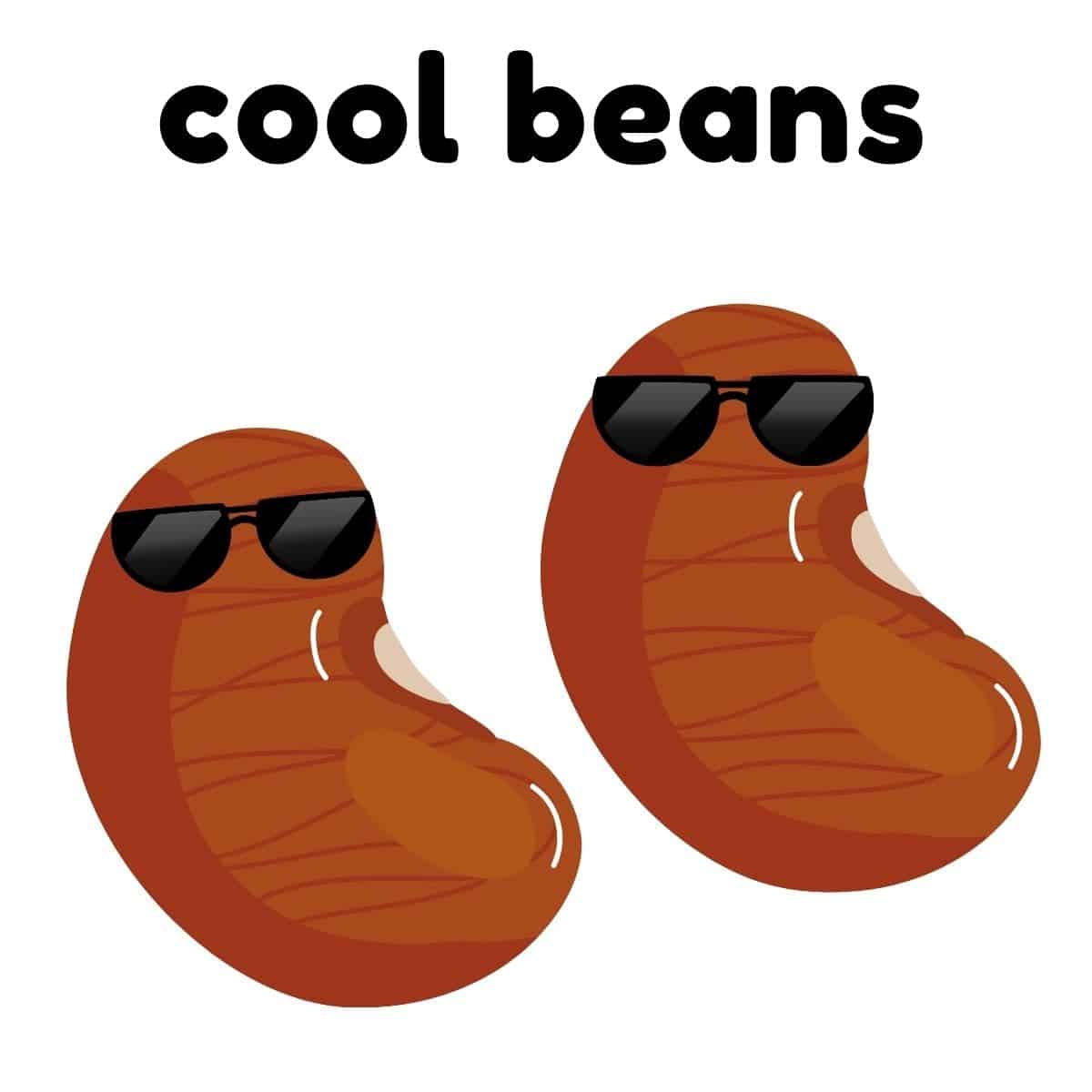 Two beans with sunglasses.