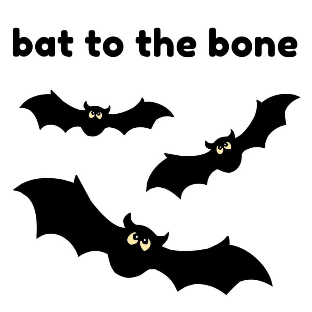 50 Best Bat Puns That’ll Have You Flying Box of Puns