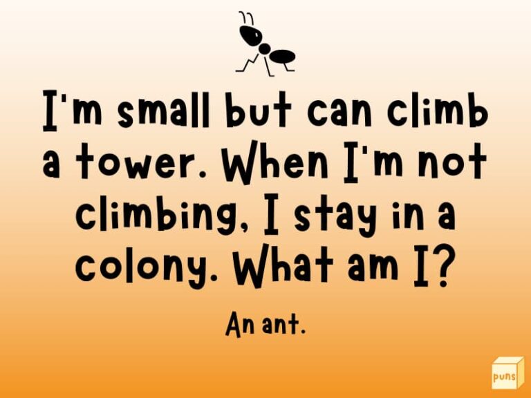 80+ Best Riddles for Kids of All Ages (With Answers) - Box of Puns