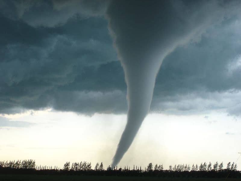 Tornado over trees and a field.