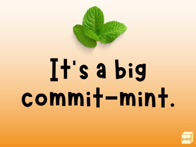 95+ Hilarious Mint Puns That Are Mint to Make You Laugh Box of Puns