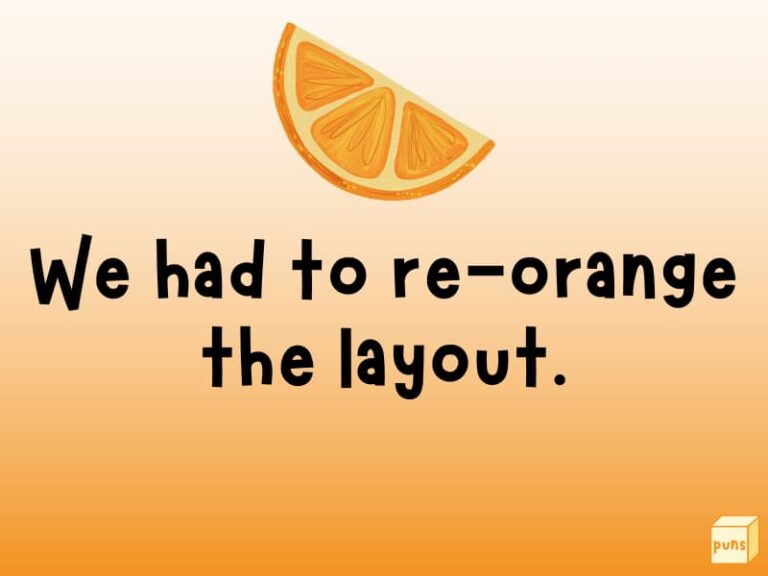 40+ Hilarious Orange Puns That Are So Sweet and Juicy Box of Puns