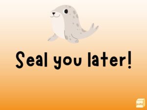 50+ Hilarious Seal Puns That Seal the Laughter Deal - Box of Puns