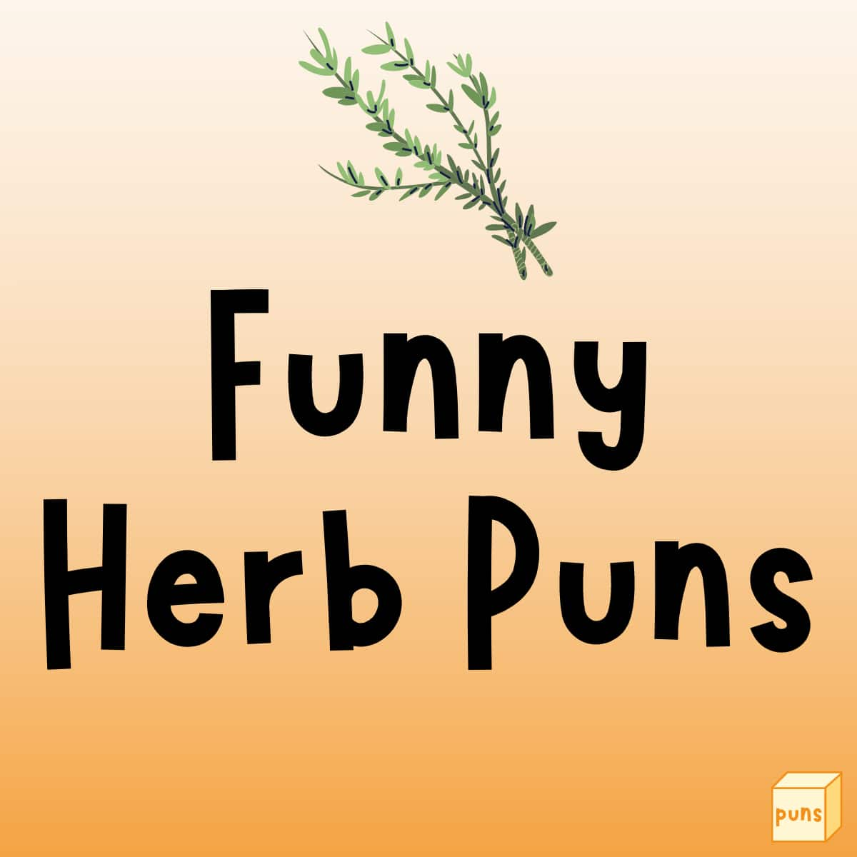 150 Funny Herb Puns to Make You Laugh Box of Puns