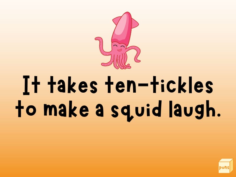 Squid.