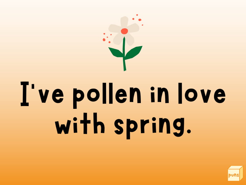 Hilarious Spring Puns That Are Blooming Box Of Puns